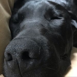 Meet your Posher, Julia